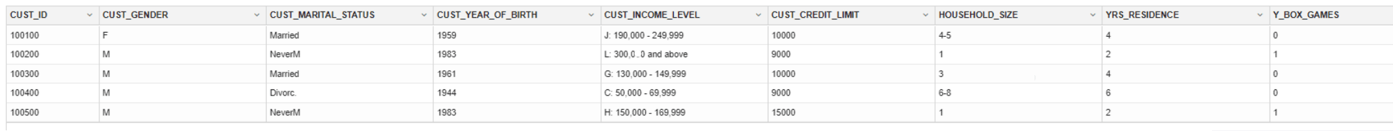 This images shows the first five rows of CUST_DF data This images shows the first five rows of CUST_DF data