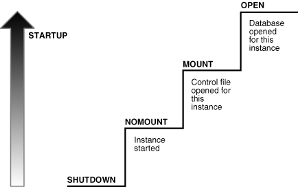 Description of Figure 13-3 follows Description of Figure 13-3 follows