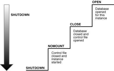 Description of Figure 16-4 follows Description of Figure 16-4 follows