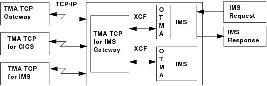 IMS Processing