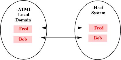 Direct User ID Mapping Diagram Direct User ID Mapping Diagram