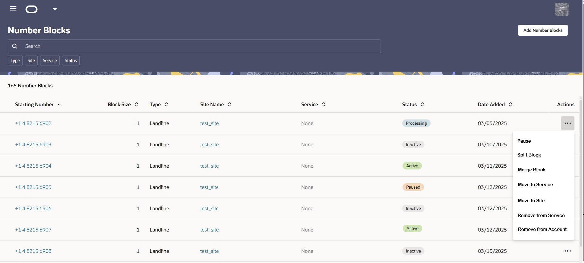 This screen capture shows an example of the Number Blocks page. This screen capture shows an example of the Number Blocks page.