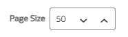 This screenshot shows the Page Size field to set the number of table entries per page. This screenshot shows the Page Size field to set the number of table entries per page.