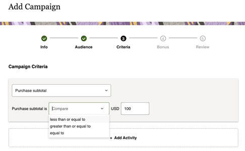 This image shows bonus point campaign criteria for adding a campaign. This image shows bonus point campaign criteria for adding a campaign.