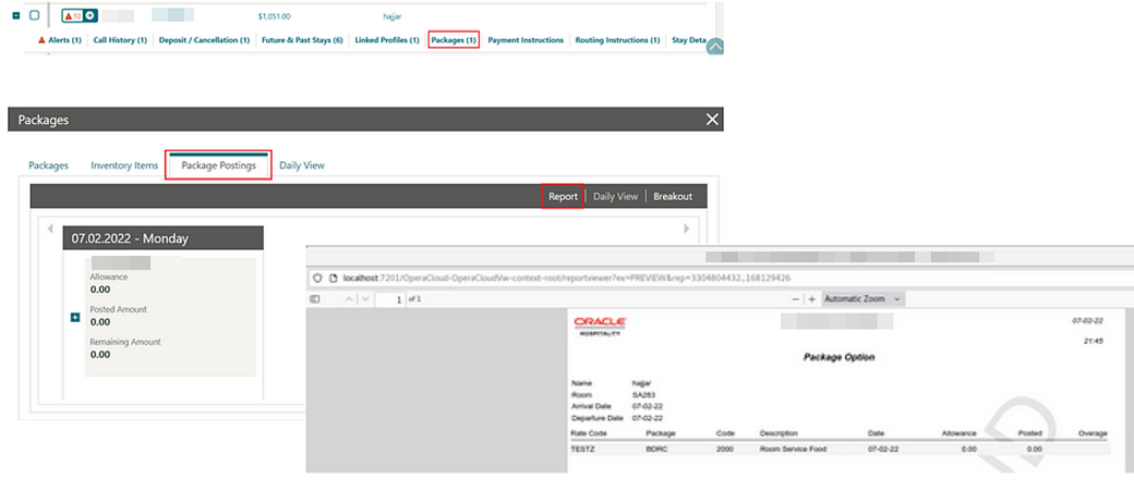 New Report action link opens Package Postings screen. New Report action link opens Package Postings screen.