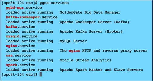 Check the GGSA Service Status