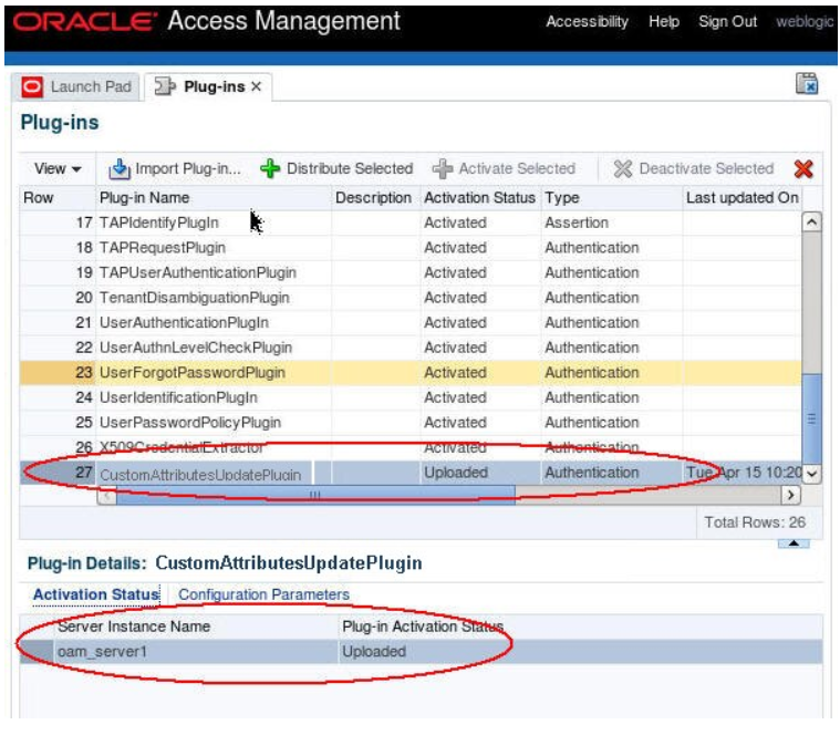 **Plug-in_loaded_Screen**