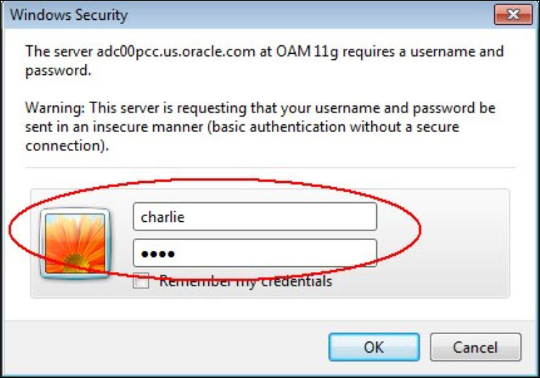 **windows Security**