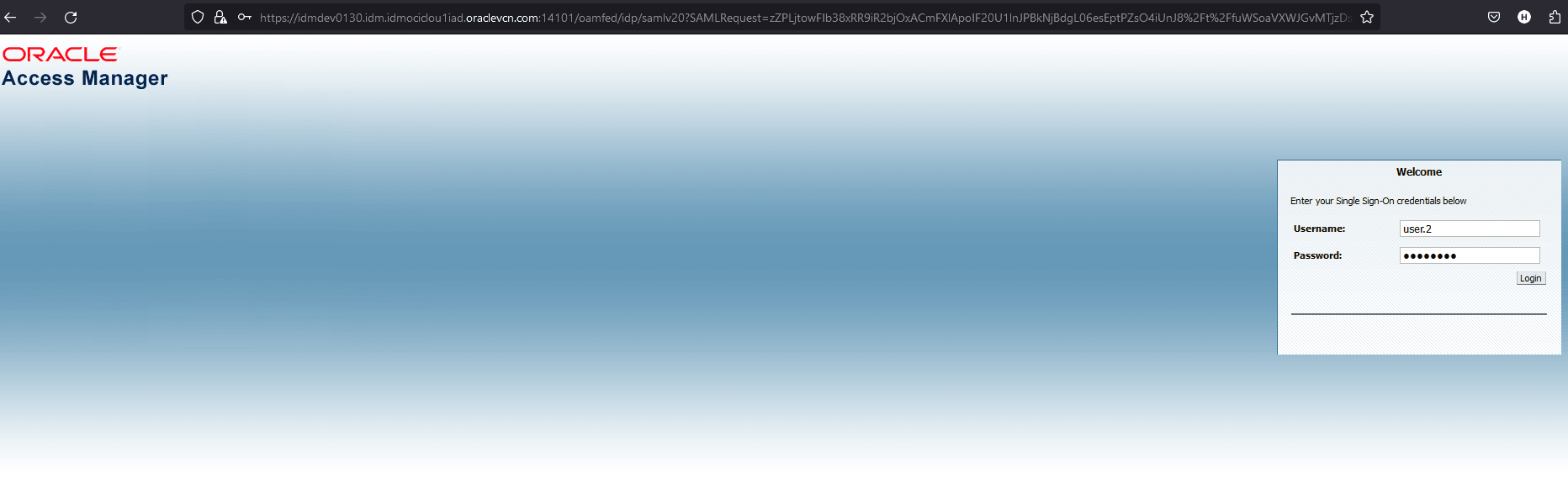 Enter SSO Details Enter SSO Details