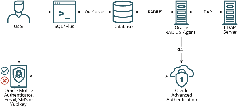 **Oracle Database with RADIUS**