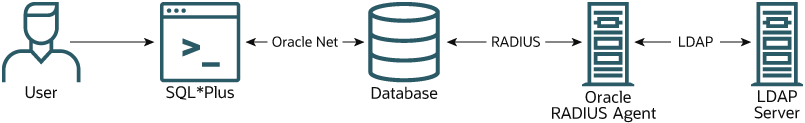 **Oracle Database with RADIUS**