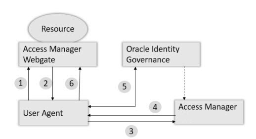 Integrating Access Manager and Oracle Identity Governance for Password Management