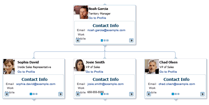 Organization View of a Manager and the Manager's Direct Reports