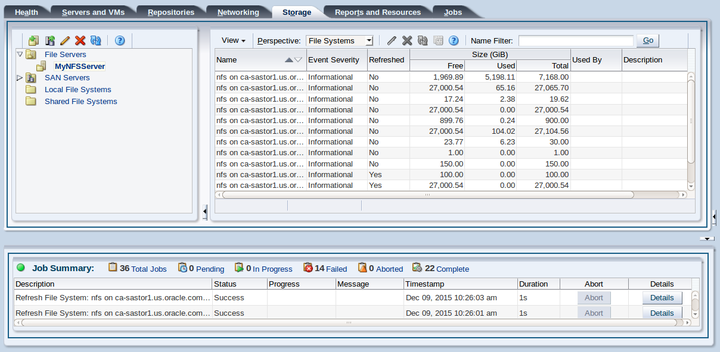 This figure shows the Storage tab with the File Servers folder selected and the File Systems perspective displayed, which lists the file systems which have been discovered.