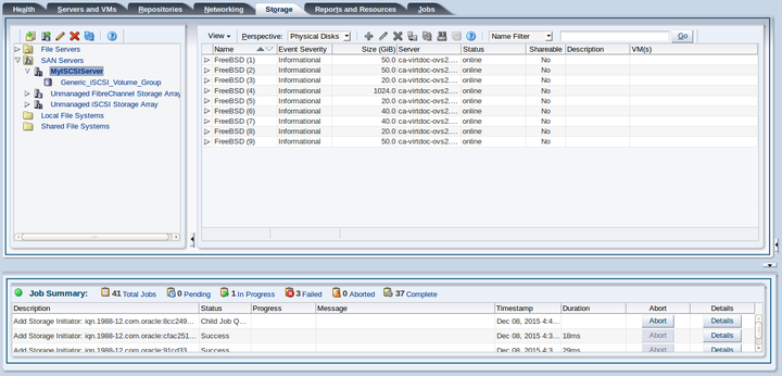 This figure shows the Storage tab with the SAN Servers folder selected and the Physical Disks perspective displayed, which lists the physical disks.