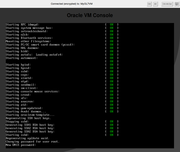 This figure shows the open VNC Console connected to a virtual machine.