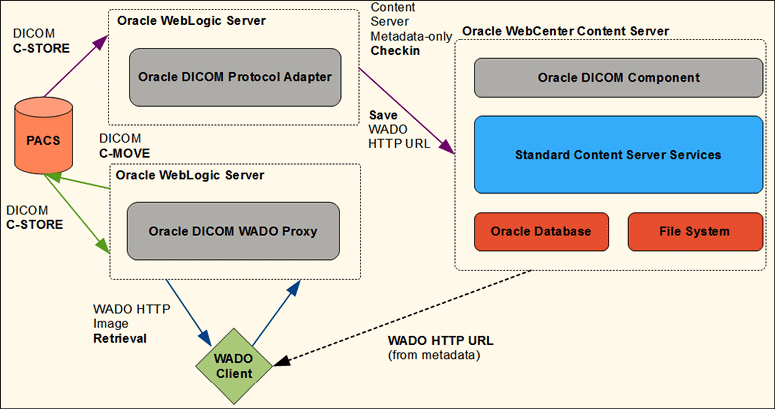 Description of proxy.gif follows Description of proxy.gif follows