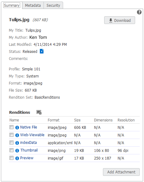 Oracle WebCenter Content Document Properties Summary tab