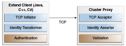 This figure is described in the preceding text. This figure is described in the preceding text.