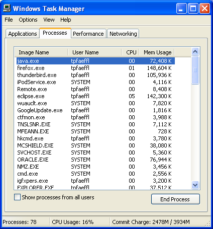 Java Process in the Windows Task Manager Java Process in the Windows Task Manager