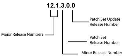 Example of an Oracle Release Number