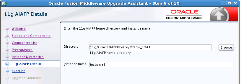 Description of 1213_ua_aiafp_details.png follows