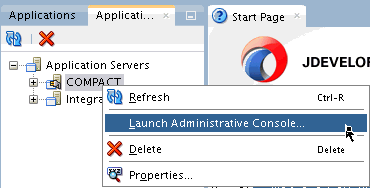 Description of launchadminconsole.gif follows