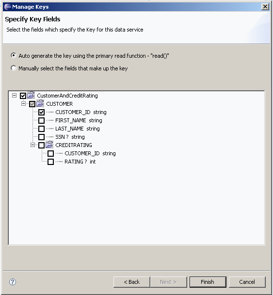 Select the fields that specify the Key for the data service. Select the fields that specify the Key for the data service.