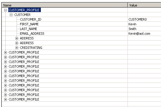 Customer profile data is shown. Customer profile data is shown.