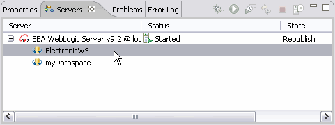 Server and Projects dialog
