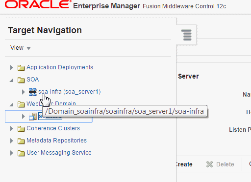 SOA > soa-infra node in the target navigation tree. SOA > soa-infra node in the target navigation tree.