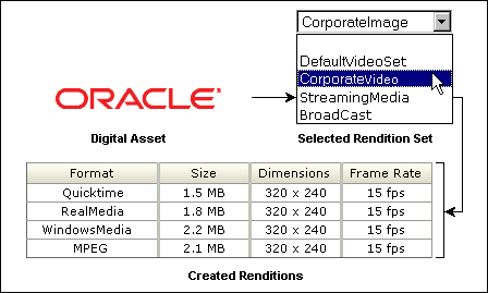 Graphic showing video rendition set Graphic showing video rendition set