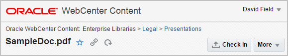 Oracle WebCenter Content Document View Page Banner Oracle WebCenter Content Document View Page Banner