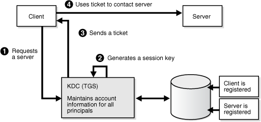 Description of Figure 28-6 follows Description of Figure 28-6 follows