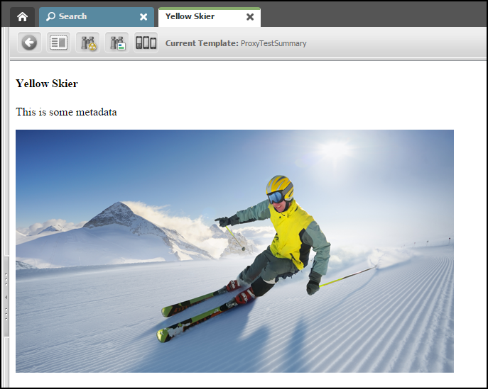This image shows a sample graphic called YellowSkier. This image shows a sample graphic called YellowSkier.