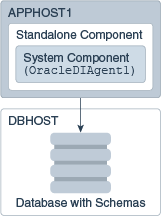 Installation topology for standalone agent