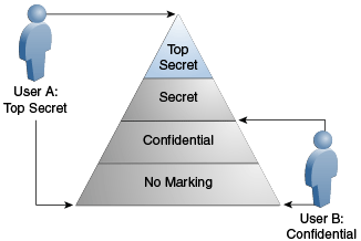 Description of Figure 13-3 follows