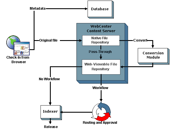 Graphic of Revision Process