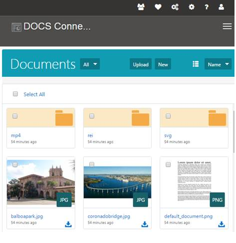 This image shows the Oracle Document Cloud Service.